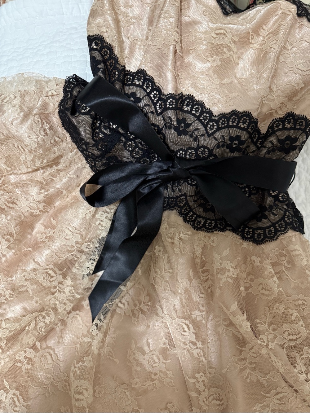 Jessica McClintock Blush Pink Lace Party Dress with Black Satin Bow - Picture 5 of 6